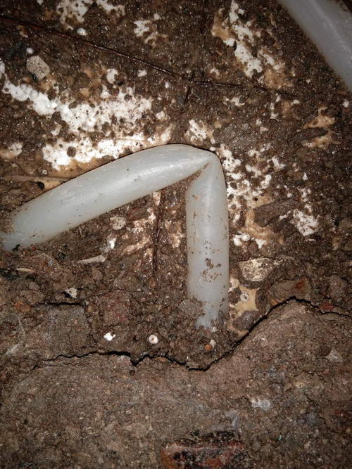 四会堵点精准查找